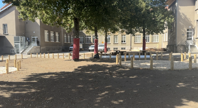 Metz végétalise ses cours d'écoles pendant l'été