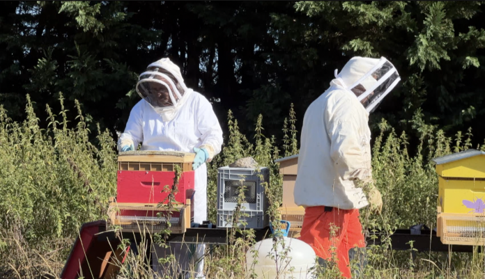 Villes et villages fleuris récompense le cadre de vie et l'éco-responsabilité des communes