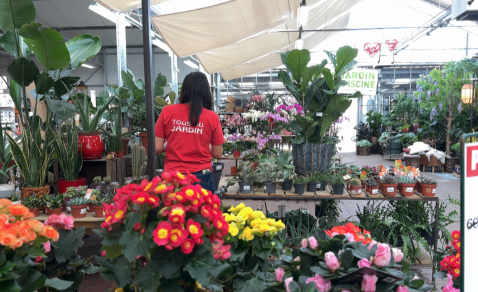 tous au jardin racheté par Cathelin