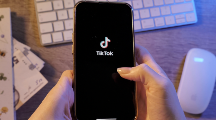 Le réseau social TikTok dans le viseur des parlementaires
