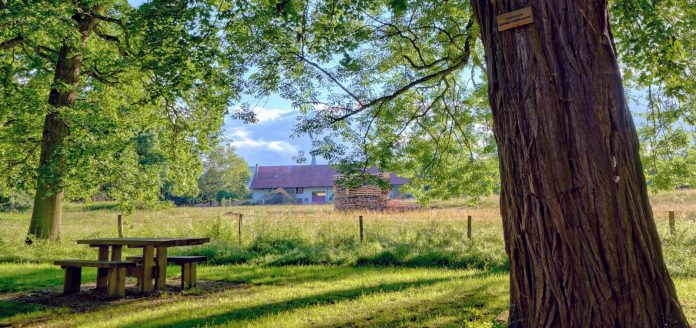 Augny obtient sa 4ème fleur. Crédit photo : Ville d'Augny