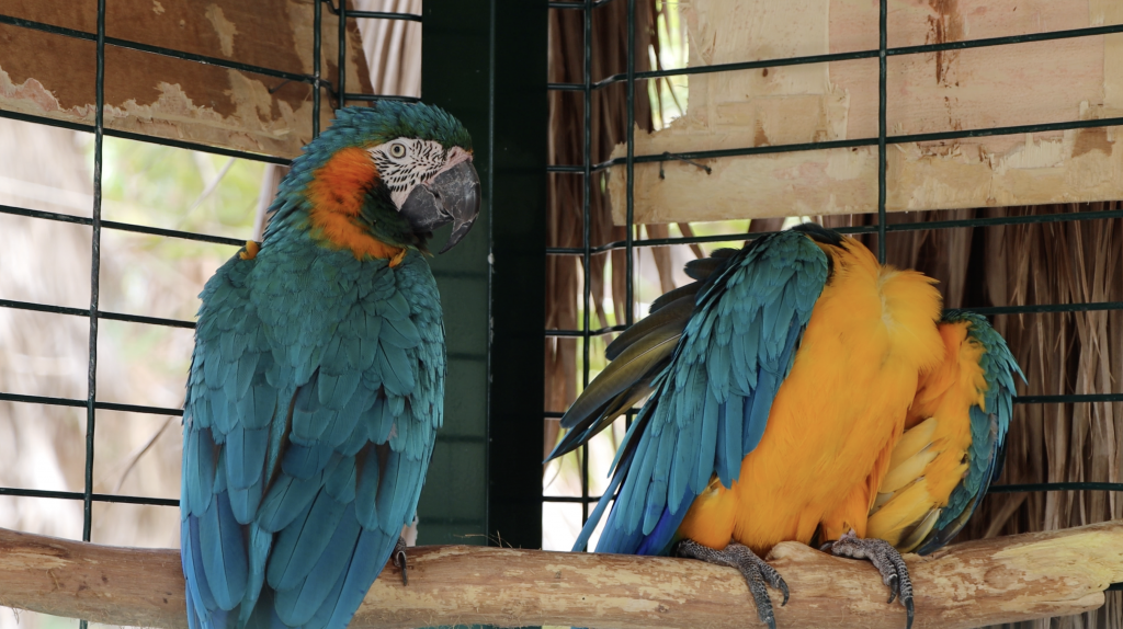 Une journée de solidarité... mais aussi de fête ! 