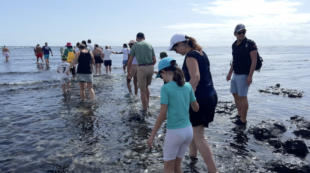 Les enfants face aux requins-citrons