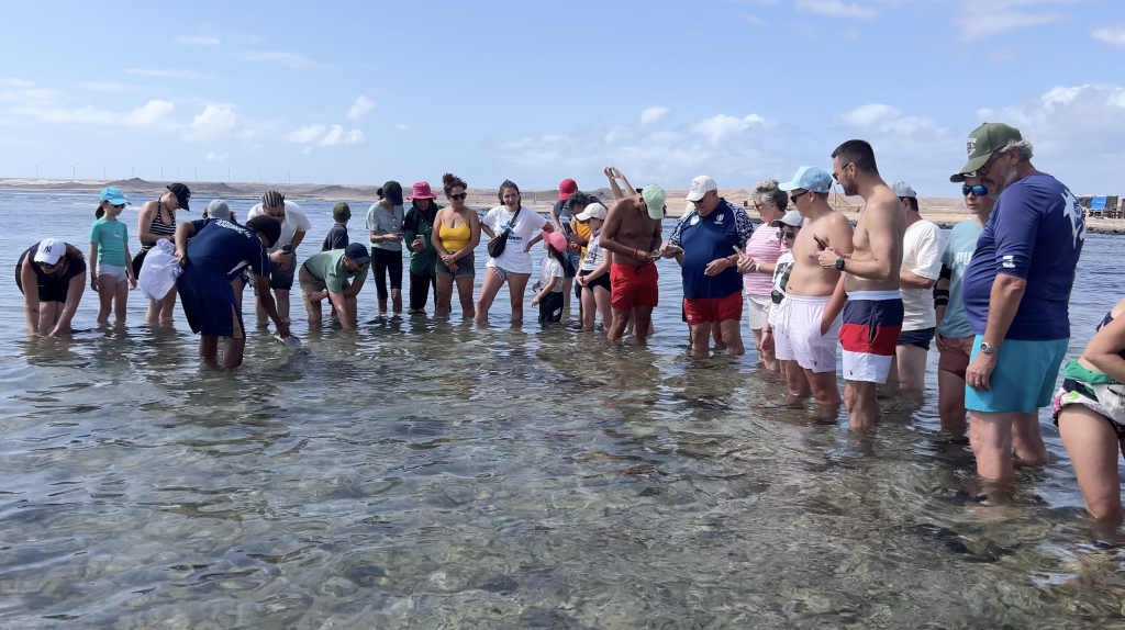 Les enfants face aux requins-citrons