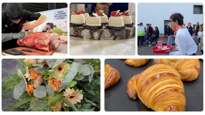 Mini-série : Plongée dans les concours de la FIM