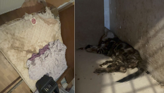 saisie moselle animaux maltraités © associationstephanelamart