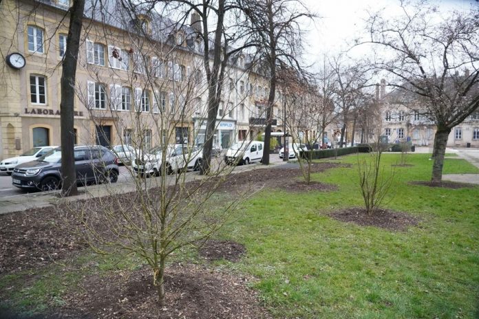 Un nouvel espace de santé arrive à Metz Crédit : Ville de Metz