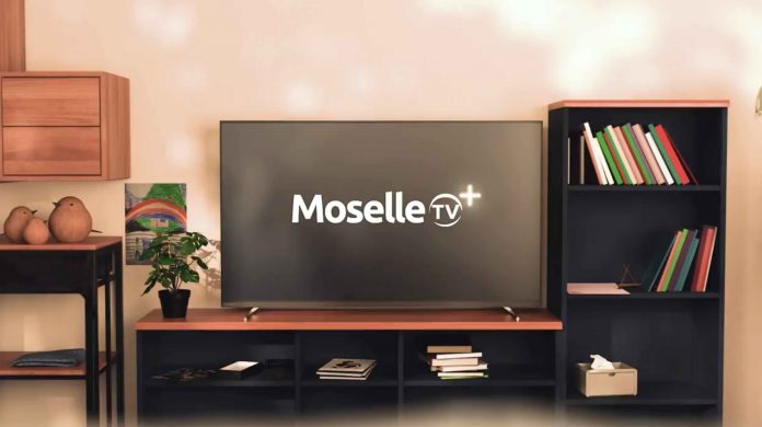 Médias locaux en recul : une menace directe pour la démocratie ?