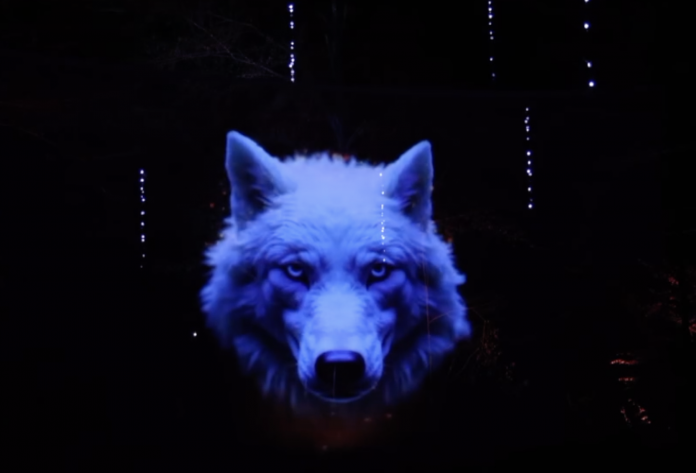 Le Zap : le parcours Lumières d’Hiver ouvre ce vendredi à Sainte-Croix