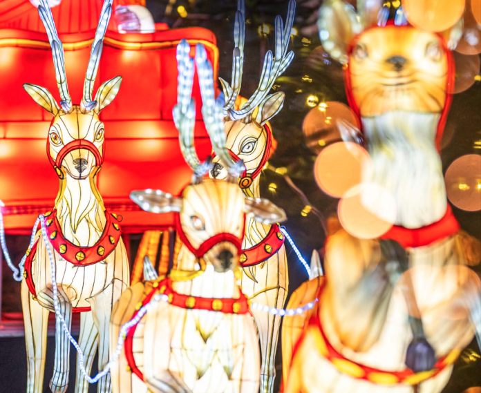 Après Noël, la magie continue : les rendez-vous à ne pas manquer en Moselle !