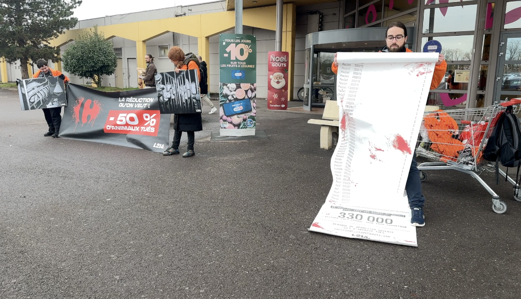 Moulins-lès-Metz : L214 déploie un ticket de caisse géant devant Carrefour pour dénoncer l’élevage intensif