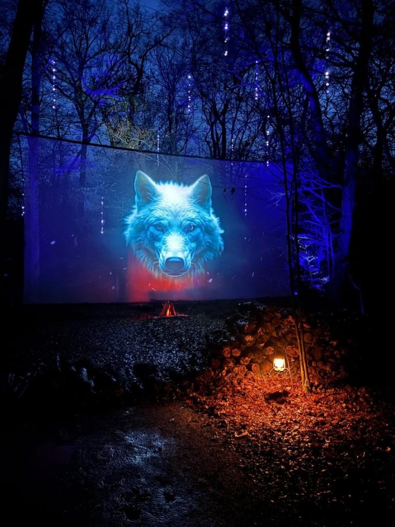 Parc animalier de Sainte-Croix @alex_andra_712