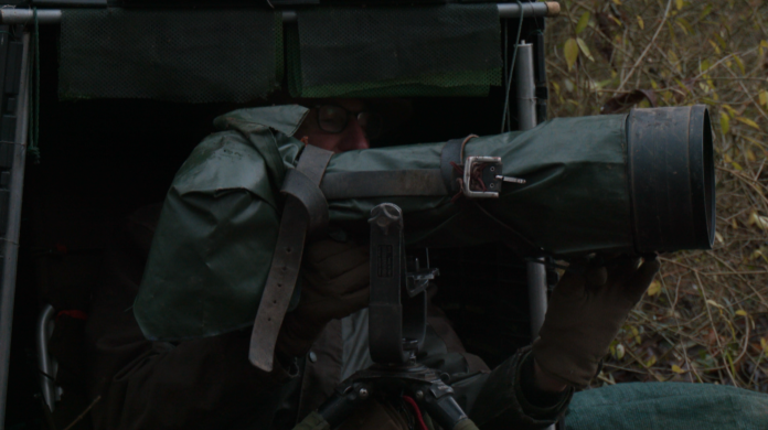 Quand un photographe s’engage pour la biodiversité