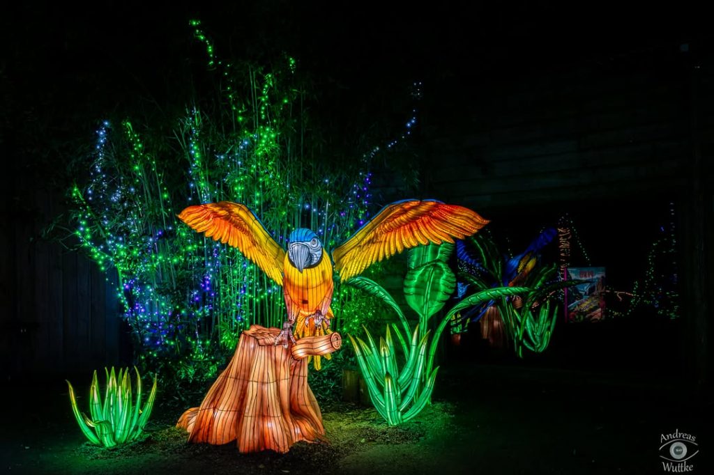 Zoo d'Amnéville @andreas.wuttke64