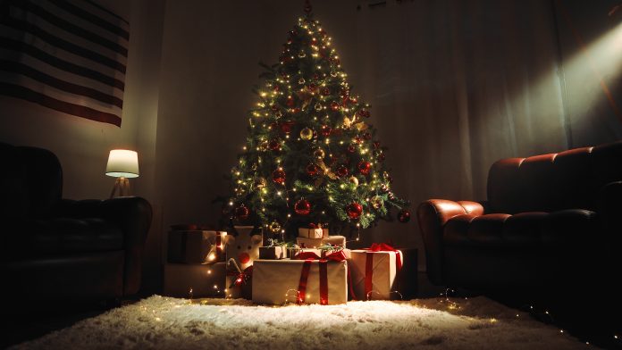 Comment recycler votre sapin de Noël ?