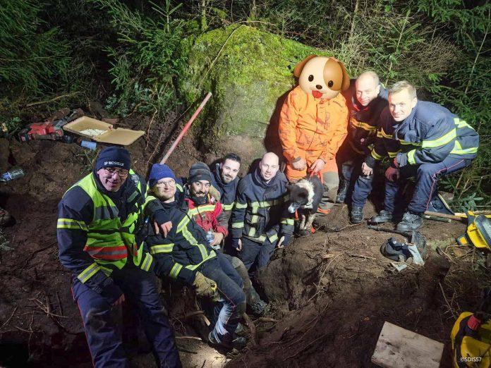 Le Zap : le sauvetage exceptionnel d’un chien bloqué dans un terrier. Crédit : Sapeurs pompiers de la Moselle