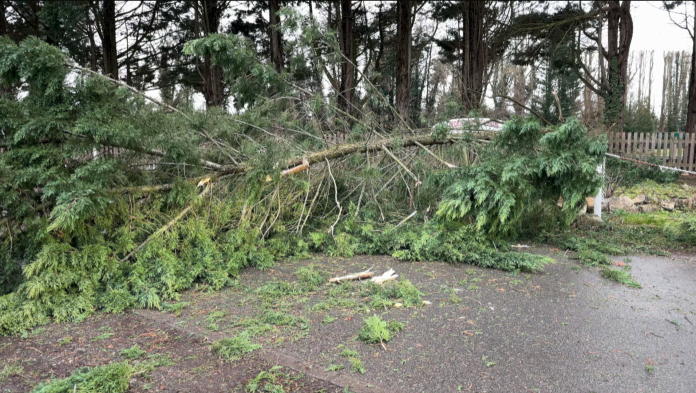 Tempête Goretti : une vingtaine d'interventions en Moselle