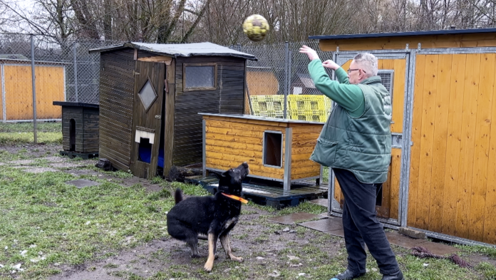 À peine sauvé, ce refuge SPA de Moselle risque à nouveau la fermeture : 