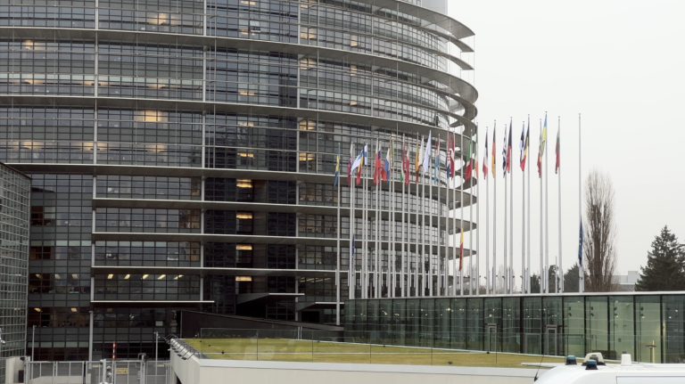 Accord Mercosur : la Cour de Justice saisie par les eurodéputés