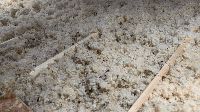 Quand la laine de mouton devient un isolant pour une mairie