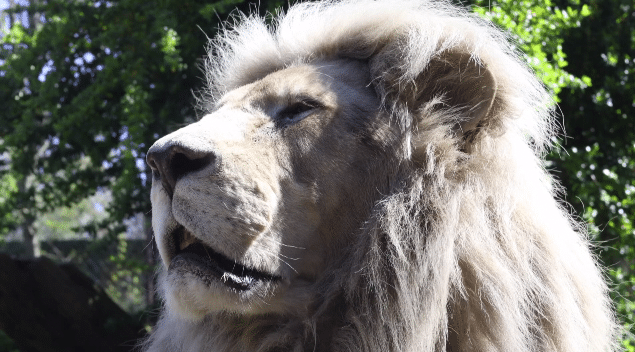 Le Zap : envie de frissons ?