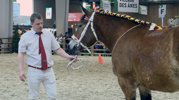 Qui sont les agriculteurs Mosellans primés au Salon de l'agriculture ?