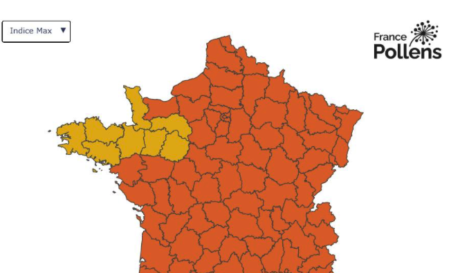 Avis aux allergiques : le pollen fait son retour Crédit : France Pollens