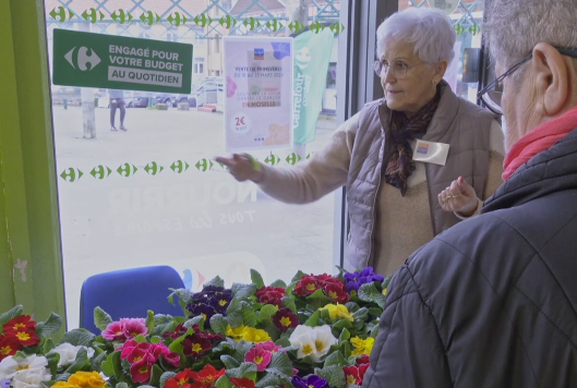Le Zap : acheter des primevères pour lutter contre le cancer !