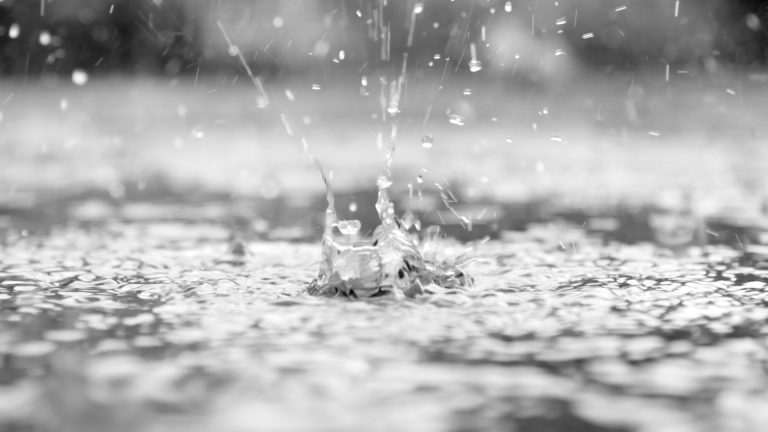 Le Zap : savez-vous combien de jours de pluie nous avons déjà eu en Moselle ?