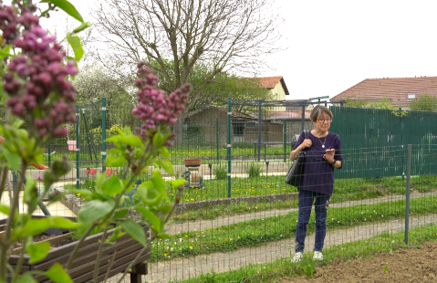 Quand les graines racontent une histoire, et lient les passionnés de jardinage