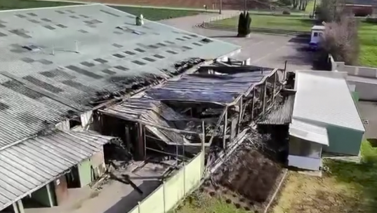 Le Zap : une cagnotte pour soutenir l’écurie des « L »