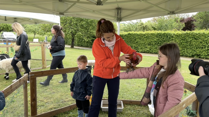 Journée de la Moselle : le Parc Archéologique de Bliesbruck s'ouvre au public le temps d'une journée