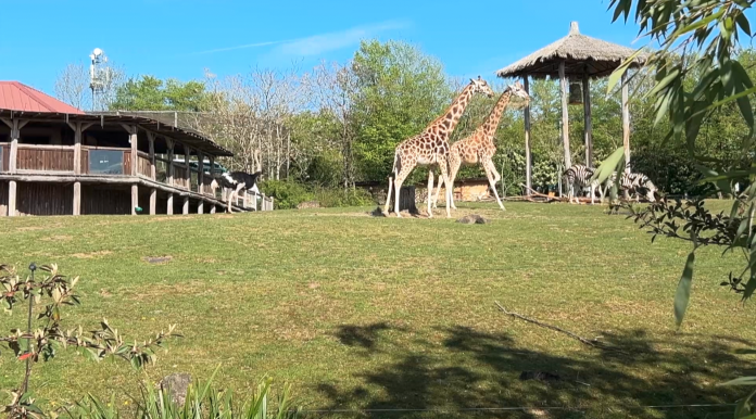 Le Zoo d'Amnéville, hôte de l'Assemblée Générale annuelle de l'AFdPZ