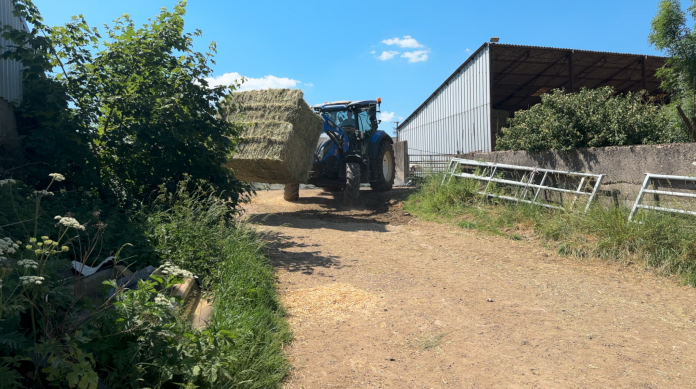 Impacts des fortes chaleurs sur les exploitations mosellanes