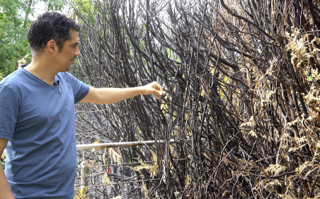 Incendies volontaires à Metz-Vallières : les habitants s’inquiètent