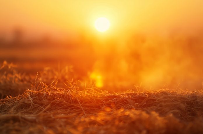 Canicule en Moselle