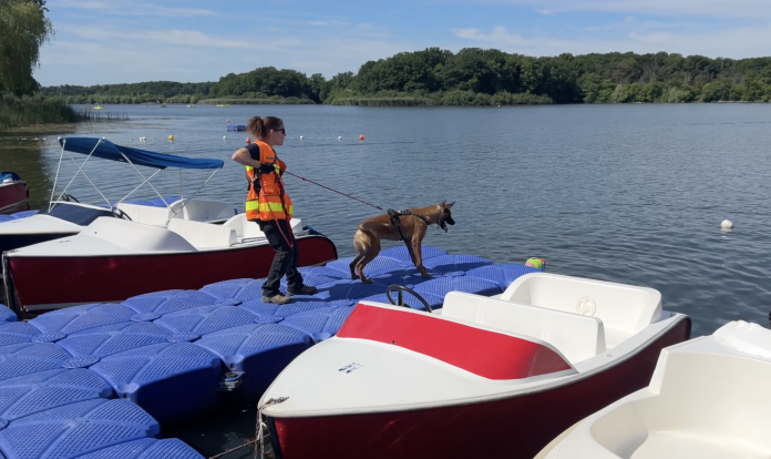 Mittersheim : immersion au cœur d'un exercice de sauvetage