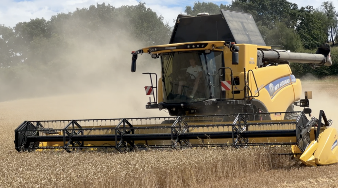 Moissons et vendanges prennent de l'avance à cause de la chaleur