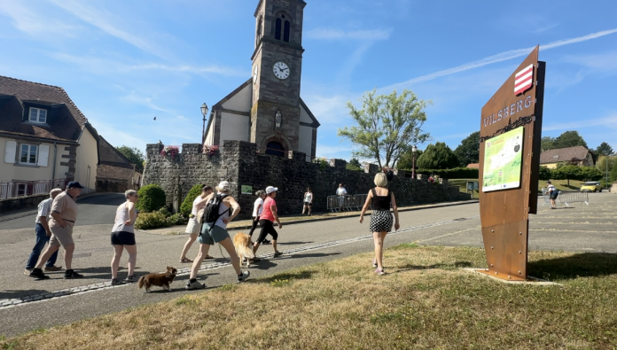 Carrières, forêt et vestiges : Vilsberg dévoile ses trésors cachés avec un nouveau parcours historique
