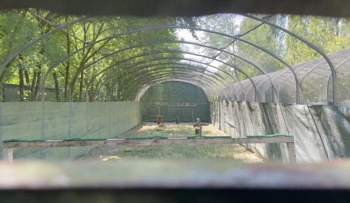 Le centre de sauvegarde de Valleroy débordé par l’afflux d’animaux lié à la canicule