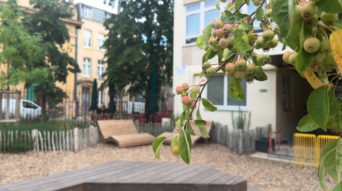 L'école notre-Dame à Metz nominée aux Victoires du paysage 2026
