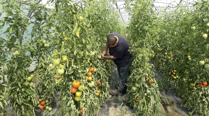 En Moselle, la sécheresse fait des dégâts