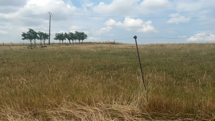 « Il va falloir trouver des solutions » : face à la sécheresse, l'État renforce son soutien aux agriculteurs