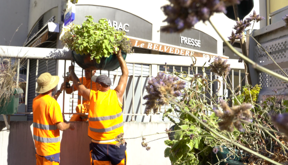 À Montigny-lès-Metz, les espaces verts s’adaptent à la sécheresse