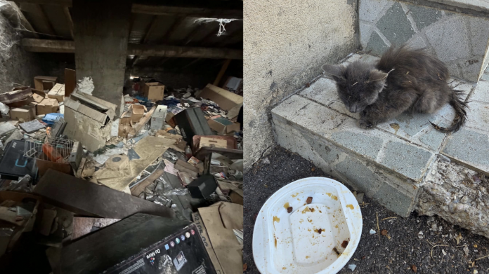 À Uckange, une maison insalubre abrite un homme de 96 ans et une vingtaine de chats