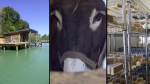 Mosell’âne, une ferme qui sort des sentiers battus