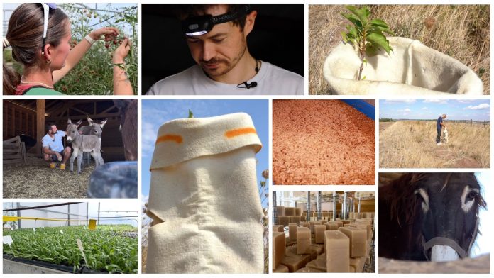 Mini-série - Culture, élevage, innovation : nos agriculteurs ont du talent !
