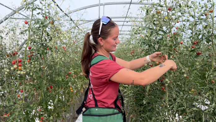 Eloïse Gross, une maraîchère qui fait parler ses légumes