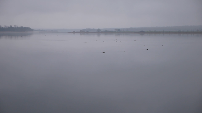 À Tarquimpol, les Parcs naturels régionaux découvrent l’équilibre entre nature et activités humaines